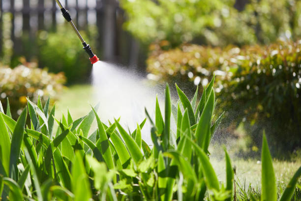24/7 Emergency Cockroach Control experts in Genesee, ID