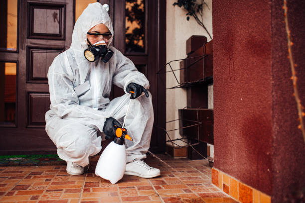 Reliable Cockroach Control contractor in Genesee, ID by Nex Pest Control